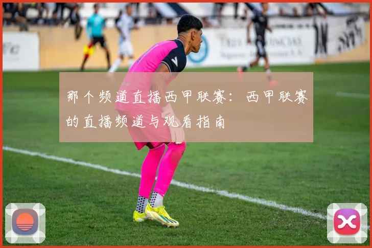 那个频道直播西甲联赛：西甲联赛的直播频道与观看指南