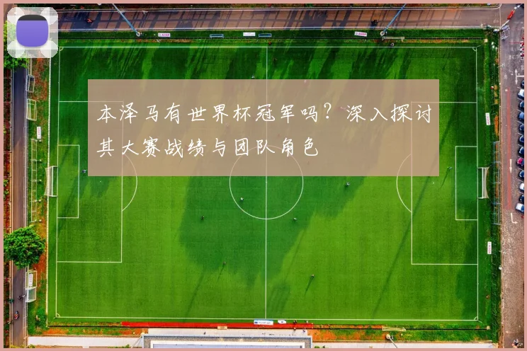 本泽马有世界杯冠军吗?深入探讨其大赛战绩与团队角色
